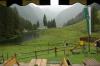 Harmer Alm